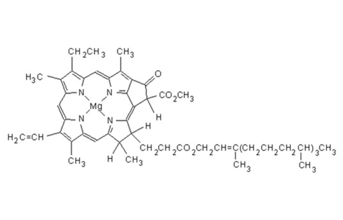 کلروفیل مایع